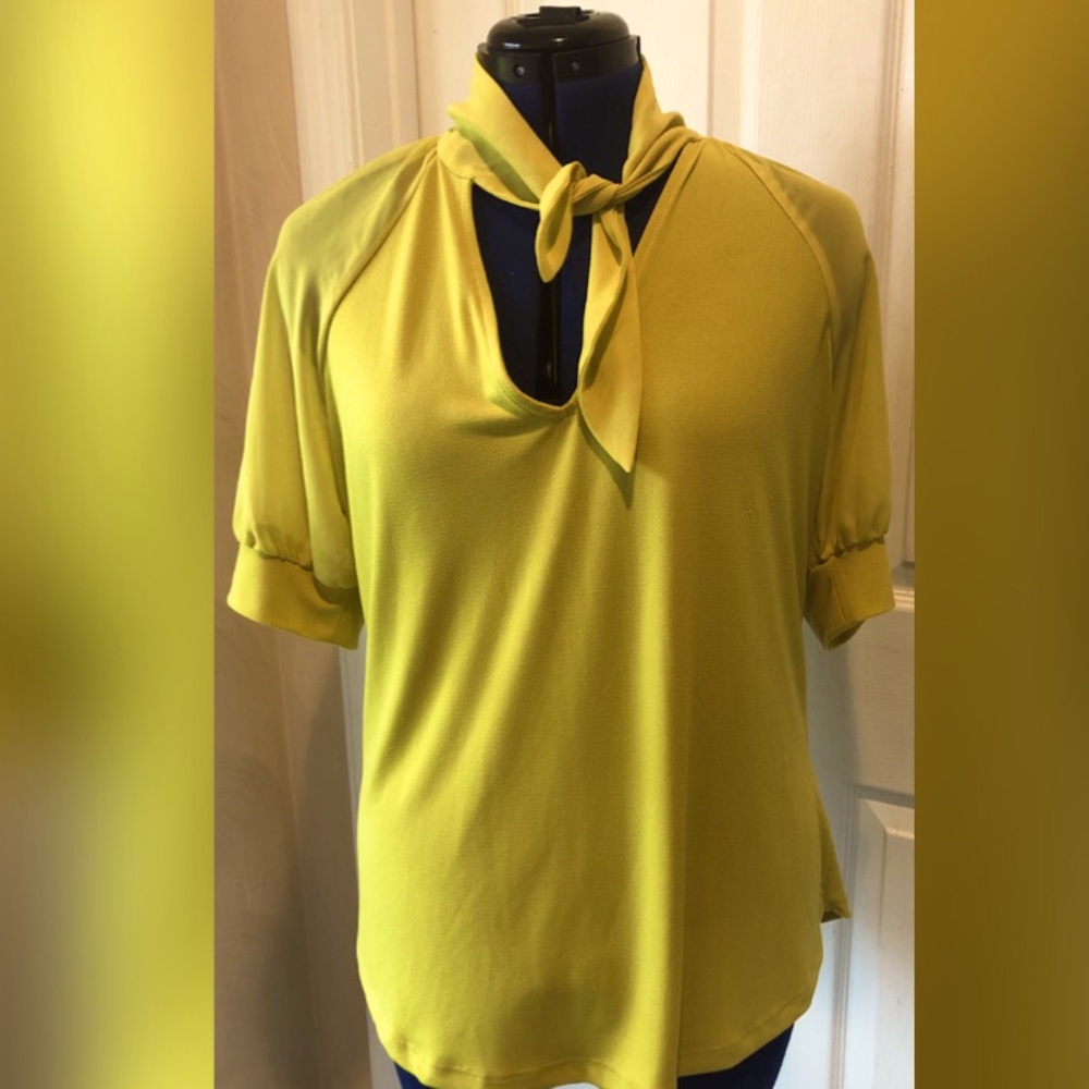 NWT- New York and Company Blouse